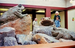 The toads have just been installed in the Old Market Shopping Mall, Taunton.
