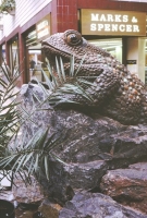 One of the toads with a Marks & Spencer store.