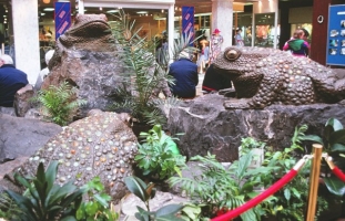 Planting was added to create a lush setting for the toads.