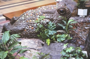 A toad sitting on the edge of the fountain.