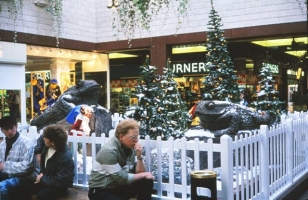 The toads are given a Christmas makeover.