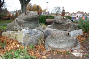 The toads new home in Victoria Park.