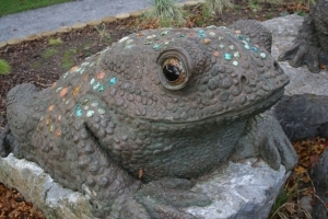One of the toads in Victoria Park.