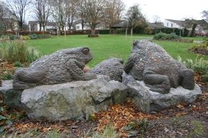 The toads new home in Victoria Park.
