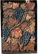 Vine - click to enlarge Vine